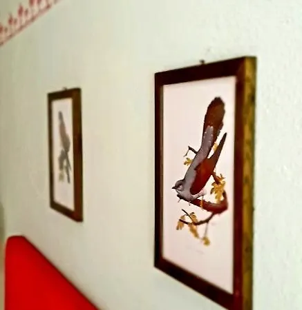 Katarina Villa Branik