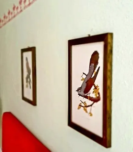 Katarina Villa Branik